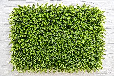 CDPR庆祝Mod编辑器上线：可以和三姐妹谈恋爱了